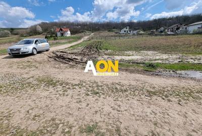 Teren Construcții intravilan de 600 mp, în Ciugud - 2