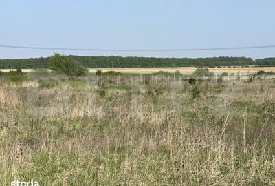 Teren de 500 mp, în Sânmartin