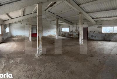 Spațiu comercial, de 740 mp, în Iratoșu - 4