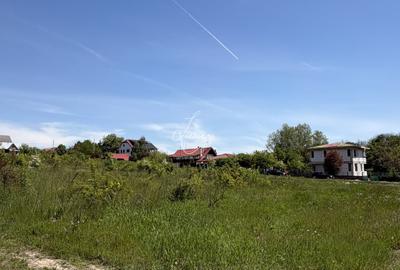 Teren Construcții intravilan de 7500 mp, în Brănești - 5