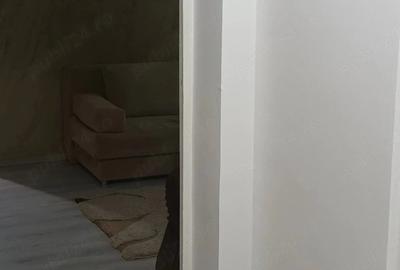 Apartament cu 2 camere semidecomandat în Tătărași - 10