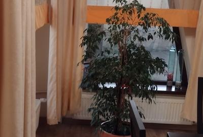 Casă cu 5 camere cu Teren 468 Mp în Lazu - 52