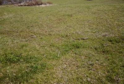 Teren agricol extravilan de 27500 mp, în Geoagiu-Băi - 10