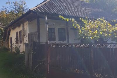 Teren de 2898 mp, în Leicești - 2