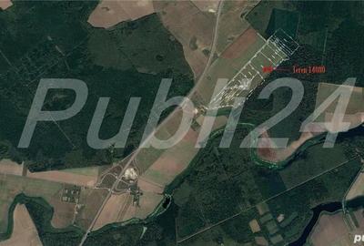 Teren de 14000 mp, în Snagov