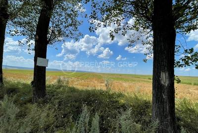 Teren agricol extravilan de 7000 mp, în Miroslava - 2