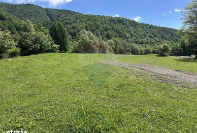 Teren de 1340 mp, în Gârcina