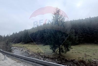 Teren Construcții intravilan de 4331 mp, în Arieșeni - 13