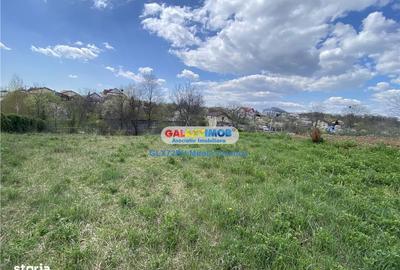 Teren de 8930 mp, în Păulești - 9