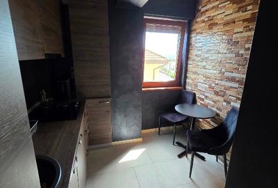 Apartament cu 2 camere decomandat în Valea Lupului - 8