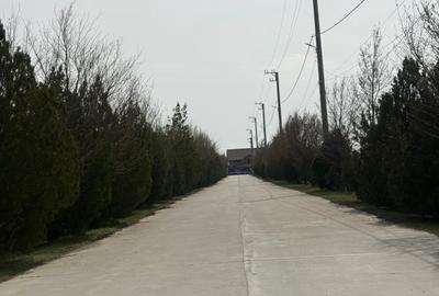 Teren Construcții intravilan de 9200 mp, în Est - 6