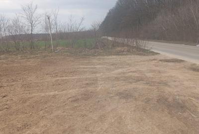 Teren Construcții intravilan de 14400 mp, în Dragomirești-Deal - 2