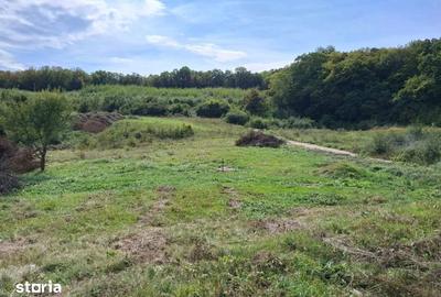 Casă cu Teren 1200 Mp în Florești