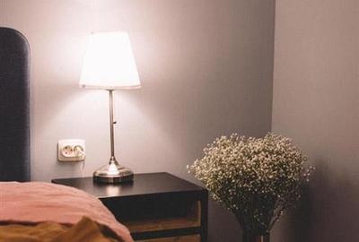 Apartament cu 2 camere semidecomandat, mobilat în Aeroport - 4