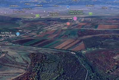 Teren de 38400 mp, în Șura Mare - 1