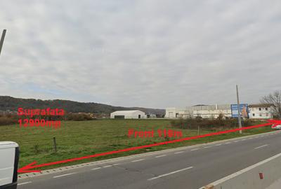 Teren Construcții intravilan de 12800 mp, în Mărăcineni - 2