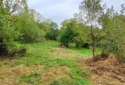 Teren de 5400 mp, în Bughea de Jos - 10
