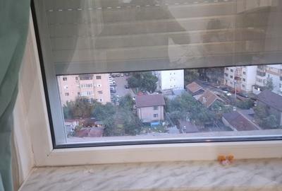 Apartament cu 2 camere decomandat în Băceni