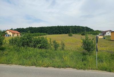 Teren de 6400 mp, în Bârsău - 2
