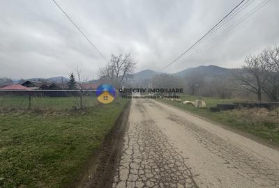Teren Construcții intravilan de 1200 mp, în Vădurele (Alexandru cel Bun) - 6