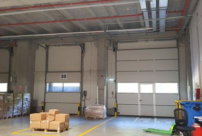 Spațiu industrial, de 2,450 mp, în Ștefăneștii de Jos - 6