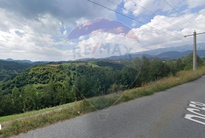 Teren de 2000 mp, în Moieciu