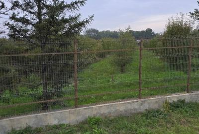 Teren agricol extravilan de 18000 mp, în Boțârlău - 4