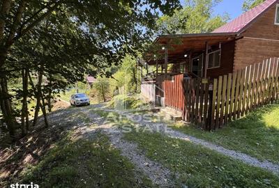 Casă cu 5 camere cu Teren 771 Mp în Ribița - 2