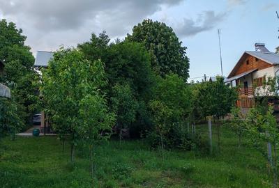Casă individuală cu 4 camere cu Teren 530 Mp în Răzvad - 10
