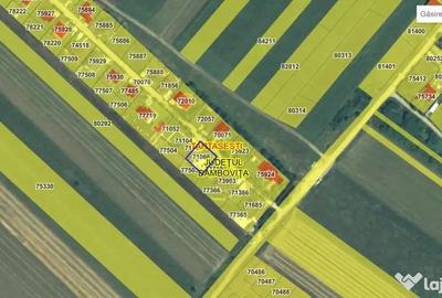 Casă cu 3 camere cu Teren 800 Mp în Tărtășești