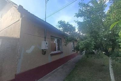 Casă individuală cu 4 camere cu Teren 1906 Mp în Gelu - 9