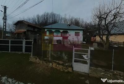 Casă cu 3 camere cu Teren 3410 Mp în Aluniș - 3