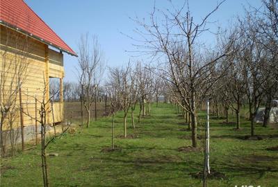 Teren de 1000 mp, în Central - 1