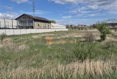Teren Construcții intravilan de 2400 mp, în Broșteni - 3