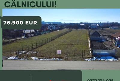 Teren de 1833 mp, în Prejmer - 5
