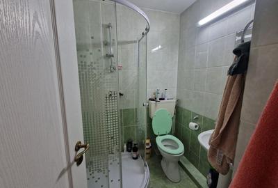 Apartament cu 3 camere decomandat în Dosu Bricii - 2