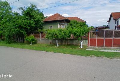 Casă cu Teren 1407 Mp în Telești