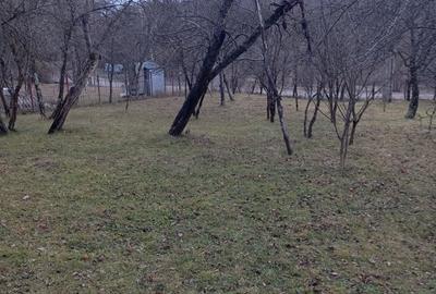 Teren de 2000 mp, în Ocina de Sus - 7