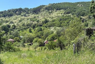 Teren de 1000 mp, în Bunești (Mălureni)