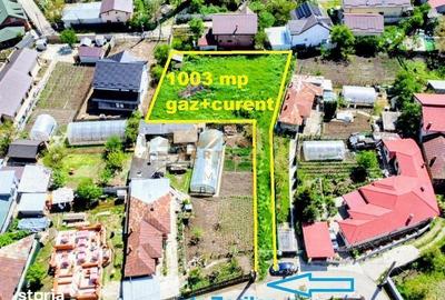 Teren de 1003 mp, în Berceni