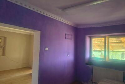 Casă individuală cu 2 camere cu Teren 19 Mp în Dobra