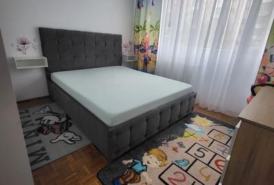 Apartament cu 2 camere decomandat, mobilat în Drumul Găzarului - 3
