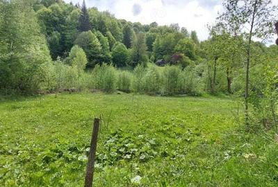 Teren de 12820 mp, în Agăș - 5