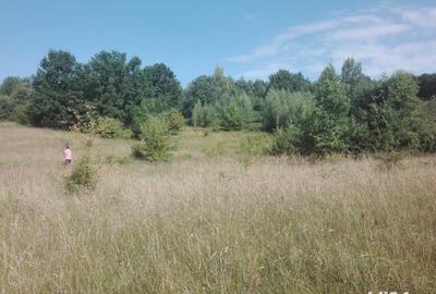 Teren de 8600 mp, în Baia de Fier - 7