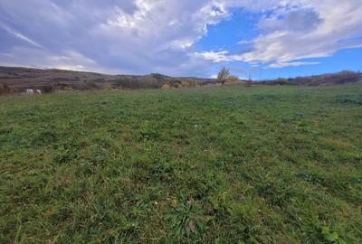 Teren Construcții intravilan de 602 mp, în Borhanci - 4