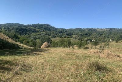 Teren de 12000 mp, în Chiojdeni