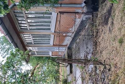 Casă cu Teren 2291 Mp în Ceanu Mare - 1