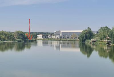 Teren Construcții intravilan de 16000 mp, în Tamași - 12