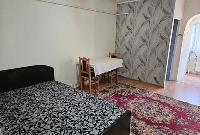Garsonieră semidecomandată în Zahana - 9