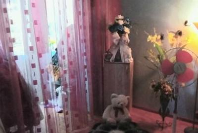 Apartament cu 2 camere semidecomandat în Țiglina 1 - 3